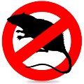 <span style="font-weight: bold;">Уничтожение крыс</span>