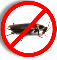 <span style="font-weight: bold;">ДЕЗИНСЕКЦИЯ</span>