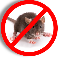 <span style="font-weight: bold;">ДЕРАТИЗАЦИЯ</span>